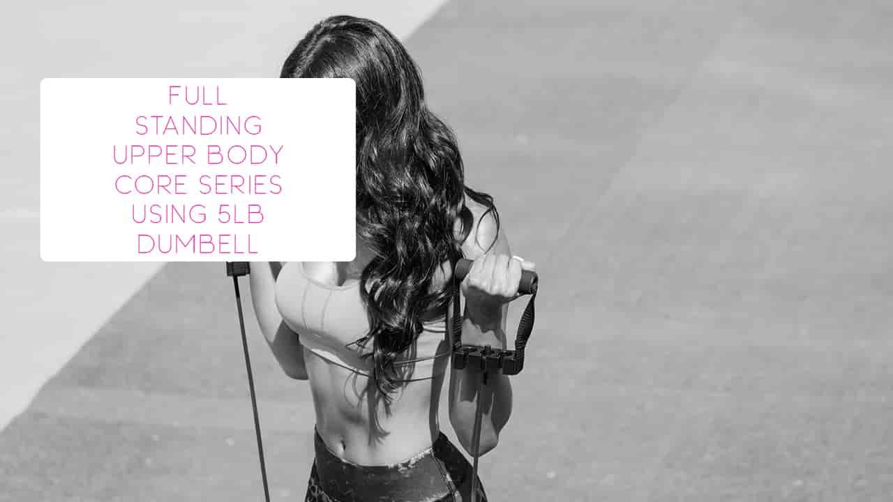 Full Standing Upper Body Core Series using 5lb dumbells